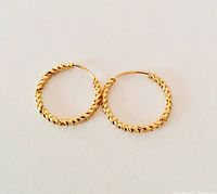 Pair of small 10K gold twisted rope hoop earrings shown flat on white surface.