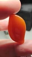 Close-up photo of deep orange carnelian gemstone held between fingers showing its polished surface and curved fancy cut.
