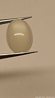 Close-up front view of the oval white moonstone held by tweezers, showing smooth polished surface and cat's eye effect under lighting.