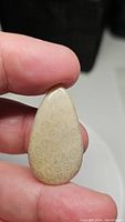 Handheld pear-shaped, light beige fossil coral cabochon showing unique coral skeletal patterns on front side.