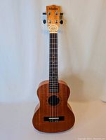 Full front view of Afuaim 23-inch ukulele showing body, neck and headstock against white background