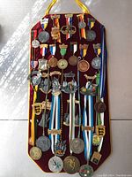 Full display of German Volksmarch medals and pins on maroon board, showing arrangement and relative sizes