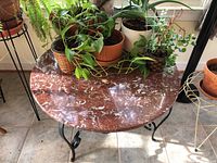 Top view of the oval red marble table top with white veining, holding several potted plants (plants not included)