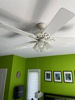 Image shows a white ceiling fan installed on a textured white ceiling, with five white blades and three bell-shaped frosted glass light fixtures. The fan has a pull-chain and is in a room with bright green walls and framed pictures.