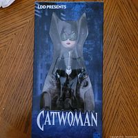 Front view of the boxed Catwoman figure from LDD Presents DC series, showing the packaging and figure inside.