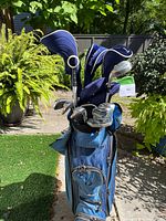 Front view of bag with club tops and headcovers visible