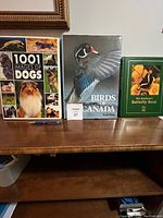 Photo showing three large photo books on a wooden table with a hanger tag numbered 97. Titles are 1001 Images of Dogs, Birds of Canada, and The Gardener's Butterfly Book.