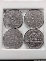 Four Canadian nickels in display holder, showing front sides with maple leaf and beaver designs, from years 1929, 1936, 1937 and 1940