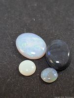 Four polished opal cabochons arranged on a black surface showing different colors and sizes