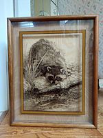 Frontal photo of the etched glass artwork featuring a raccoon in a wooden shadow box frame showing overall condition and wood grain.