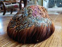 Close-up of vintage mid-20th century Piko hat covered in layered pheasant feathers displaying detailed bird feather patterns and colors.