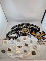 Lot display with patches arranged at back and pins sealed in bags in front on white background