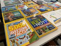 Photo showing 11 children's books with themes of facts, animals, and space. Includes National Geographic Kids books like 5,000 Awesome Facts and dinosaur-themed books.