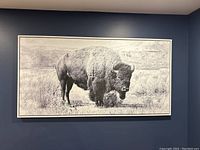 Black and white framed buffalo canvas hanging on a blue wall, showing detailed textures of the buffalo and grass.