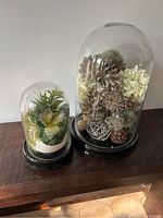 Two glass domes on a wooden surface, smaller dome with green succulents and larger dome with various dried and natural decorative elements