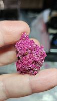 Front view of the bright pink rough ruby held between fingers, showing sparkling facets and natural rocky texture.