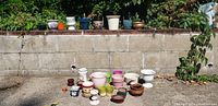 Photo showing collection of pots, planters and vases lined up against a wall outdoors with plants and concrete ground.