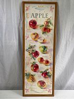 Full view of the tall rectangular apple chart poster in wood frame against a white fabric background.