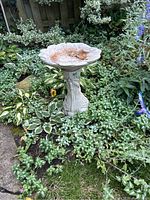 Plastic birdfeeder shaped like flower with a wide bowl on pedestal with tree trunk design, situated in garden with plants around, shows dirt in feeder bowl