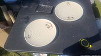Two off-white circular Japanese plastic plates placed on a black surface outdoors, showing spiral patterns and artistic fish and calligraphy details.