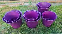 Top down view of six purple plastic pots sitting on grass, showing varying sizes and two different styles of pots (smooth and ribbed). Some pots are nested inside each other.