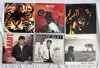 Full lot of six 1980s vinyl records arranged on white cloth, showing all front covers including Survivor, Meat Loaf, Cheap Trick, and three Corey Hart albums.