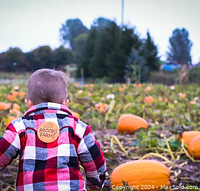 Child walking toward pumpkin patch at Brooks Farms Fall Fun Festival.
