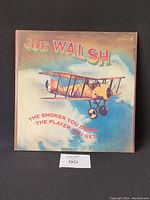 Front cover of Joe Walsh vinyl record showing vintage biplane flying in sky with album title.