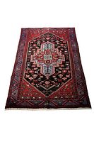 Full top view of rectangular rug showing central medallion, borders, and fringe.