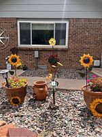 Three terracotta pots arranged in a garden bed filled with rocks, each containing geranium plants and several metal sunflower decorative stakes or attached pieces.