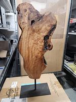 Front view of 21-inch tall live edge wood sculpture with organic shapes and natural finish on metal stand