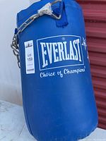 Photo of a blue Everlast punching bag with white logo and attached hanging chains.