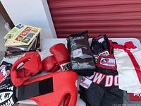 Overview of boxing gear including gloves, trunks, and books on a white surface.