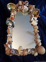 Full front view of rectangular mirror framed in varied seashells on dark fabric background