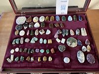 Overhead view of all cabochons displayed in red velvet-lined wooden and glass case.