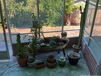 Wide view of multiple potted plants including tall cacti, trailing succulents, and clay pots inside an enclosed patio space.