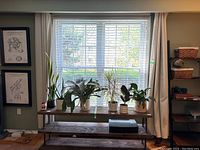 Curtains hung on window with potted plants on bench below and rod mounted above window.