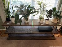 Front view of industrial shelving unit with plants on top shelf and a black electronic device on middle shelf.