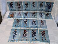 Overview of 15 Toronto Maple Leafs hockey photo cards from the 1970s showing players individually posed on ice rink backgrounds in team uniforms.