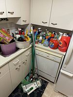 Full view of cleaning supplies and tools including mops, buckets, detergents lined around dishwasher and counters