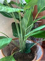 Close-up of green leaves and stems of the faux peace lily plant inside the woven basket.