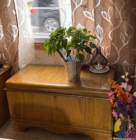Wooden cedar lined blanket storage chest with smooth finish and subtle carved detail. Chest is closed with plants and vases on top, placed in a room near a window.
