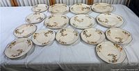 Overview of all 17 Homer Laughlin china plates laid out, showing a mixture of large and smaller plates with floral decoration.