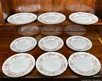 Eight matching Paragon Victoriana Rose dinner plates arranged with five plates on a lower shelf and three plates on an upper shelf, showing the floral pattern and gold gilding details.