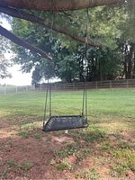 Outdoor swing hanging from tree branch in a grassy backyard, showing woven seat and ropes hanging from metal hooks.