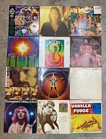 Photo showing all 12 vintage vinyl LP records in a grid layout on a carpeted floor, including artists like Sonny & Cher, Joan Baez, Hair cast, Earth Wind & Fire, Frampton, and Vanilla Fudge