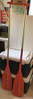 Photo of two wooden canoe oars with orange handles and blades standing upright against a white background and coolers beneath them.