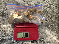 Three clear resealable bags filled with mixed Canadian and American pennies placed on a digital scale showing 808 grams.