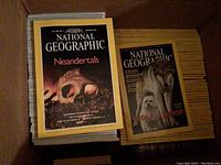 Stack of National Geographic magazines from around 1990 to 2005, cover issues showing Neandertals and wolf covers.