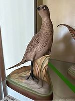 Front view of Boehm pheasant porcelain figurine standing on naturalistic base showing detailed feather painting and bird profile.
